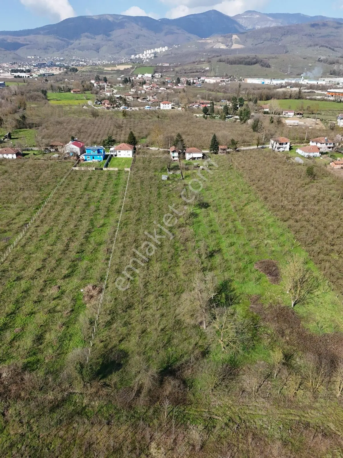 Çilimli Söğütlü Mahallesi'nde 5.480 M2 Konut İmarlı Arsa Fırsatı — fotoğraf 12