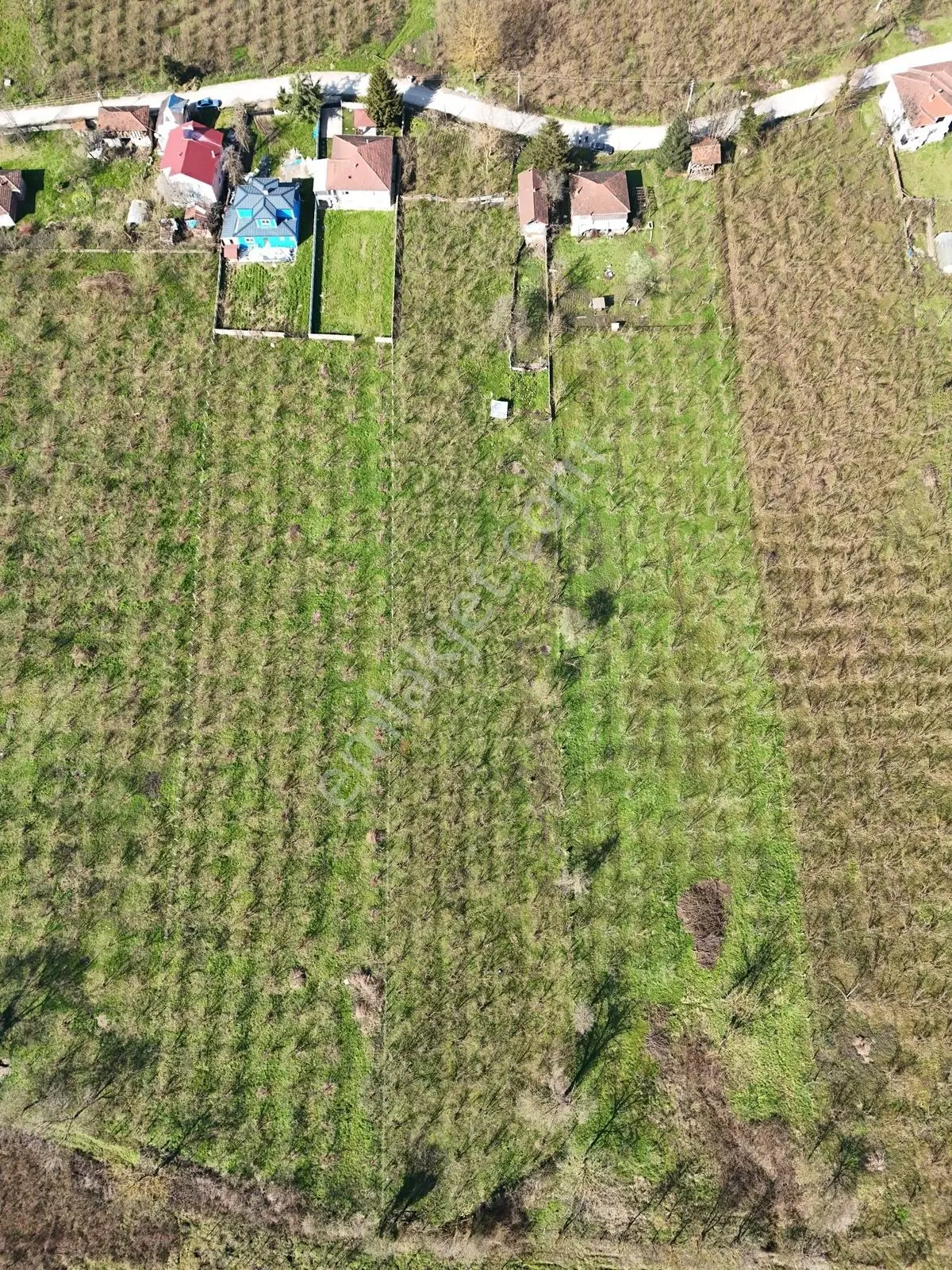 Çilimli Söğütlü Mahallesi'nde 5.480 M2 Konut İmarlı Arsa Fırsatı — fotoğraf 24