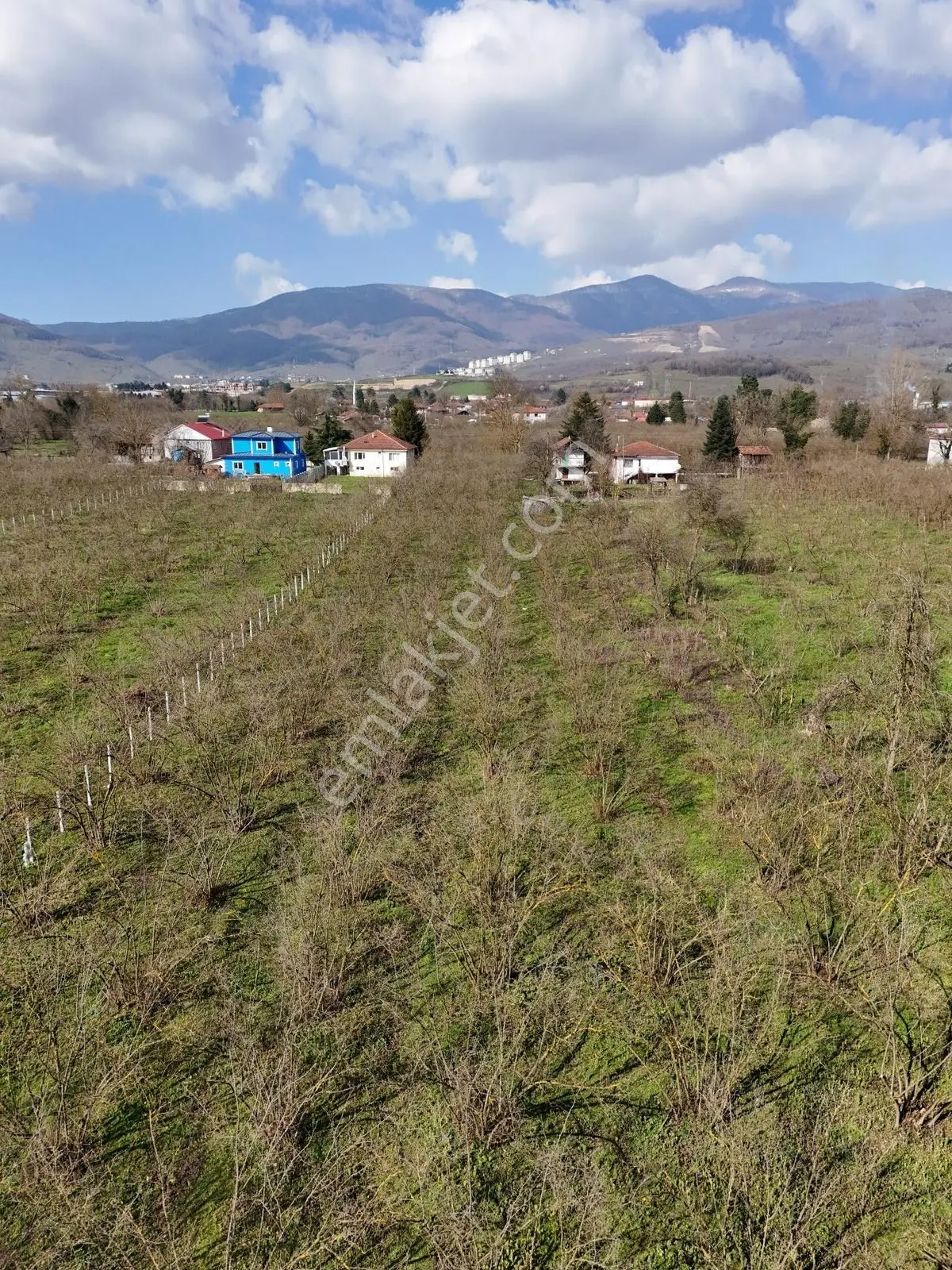 Çilimli Söğütlü Mahallesi'nde 5.480 M2 Konut İmarlı Arsa Fırsatı — fotoğraf 30