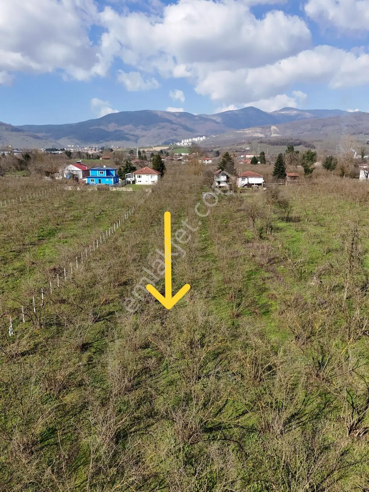 Çilimli Söğütlü Mahallesi'nde 5.480 M2 Konut İmarlı Arsa Fırsatı — fotoğraf 31