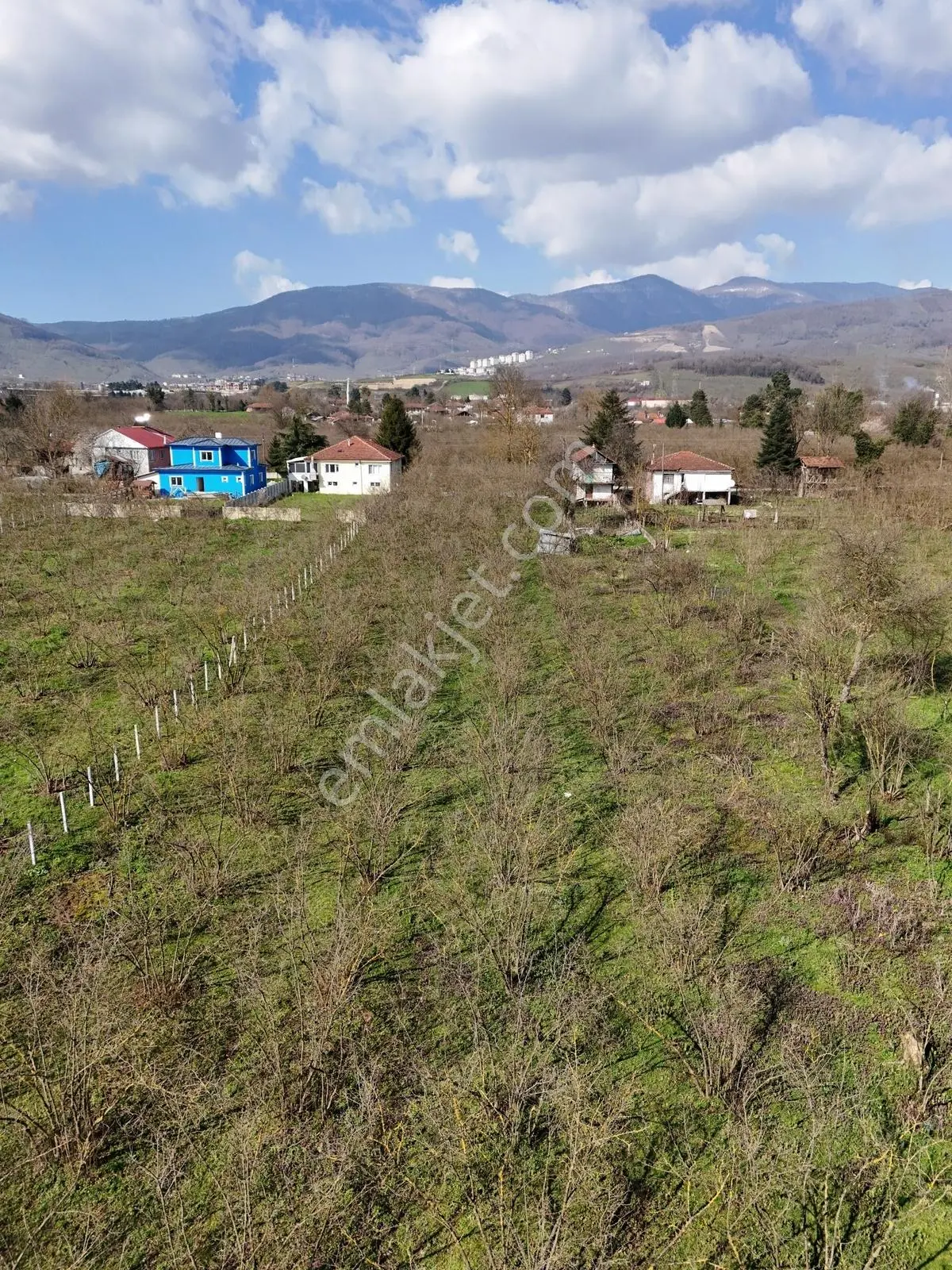 Çilimli Söğütlü Mahallesi'nde 5.480 M2 Konut İmarlı Arsa Fırsatı — fotoğraf 32