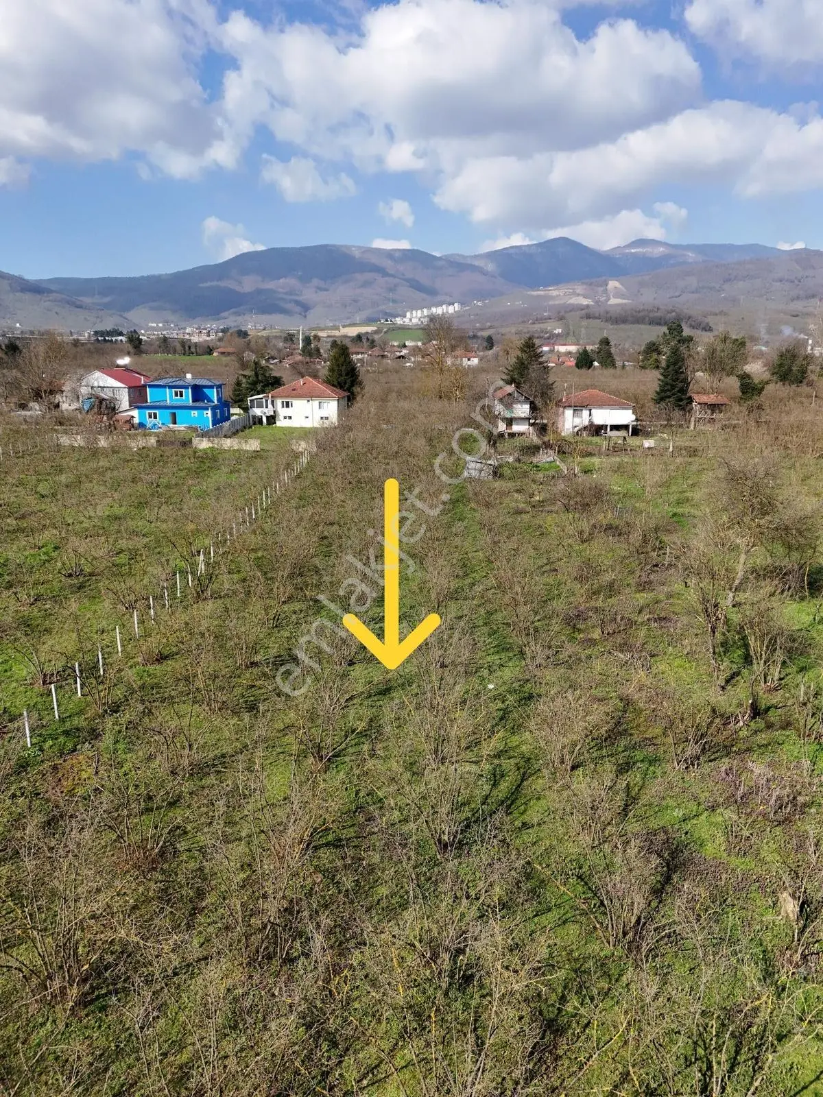 Çilimli Söğütlü Mahallesi'nde 5.480 M2 Konut İmarlı Arsa Fırsatı — fotoğraf 33