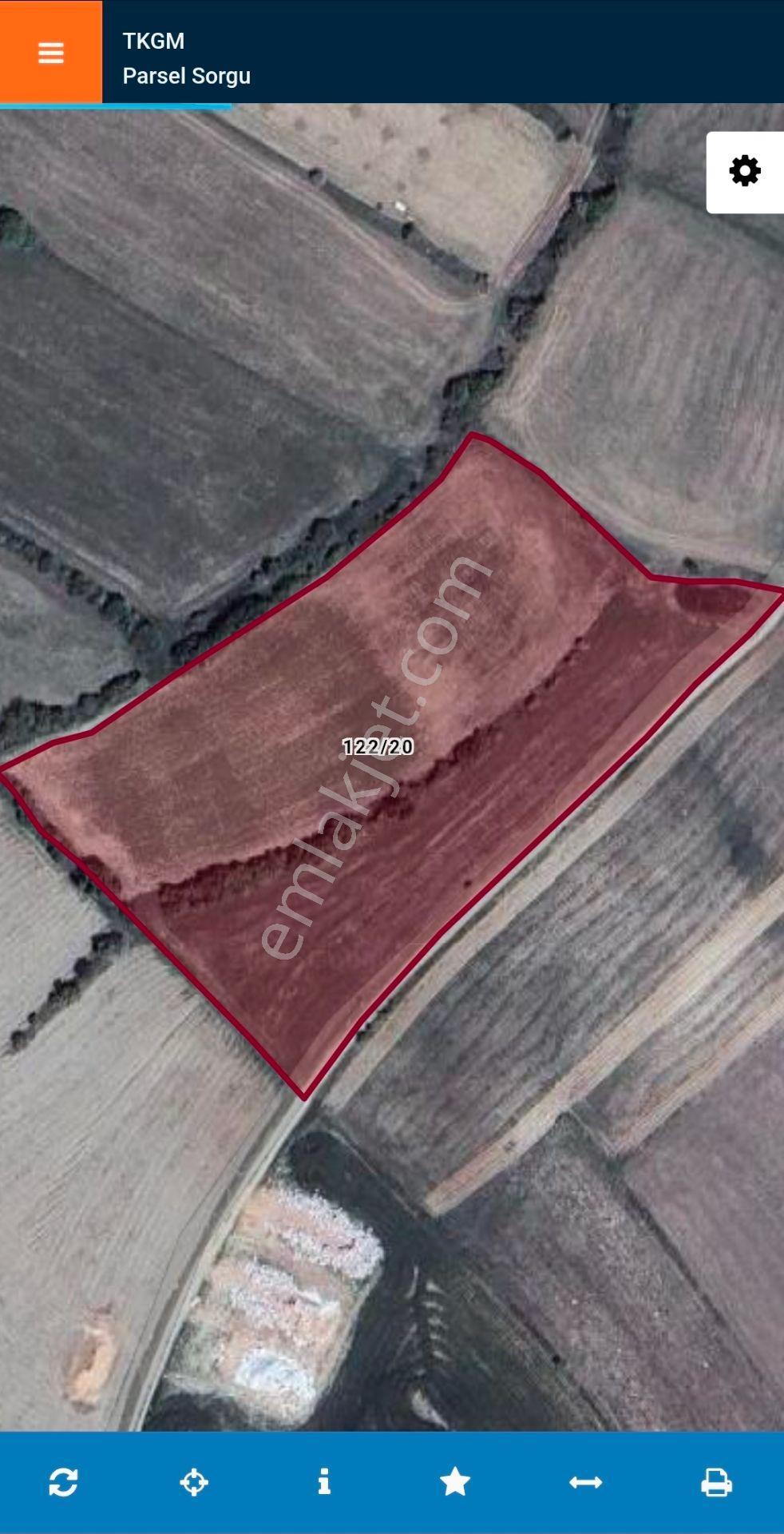 Doğukan Real Estate | Elazığ Merkez Nekerekte 11.587m² Satılık Sulu Tarla — fotoğraf 4
