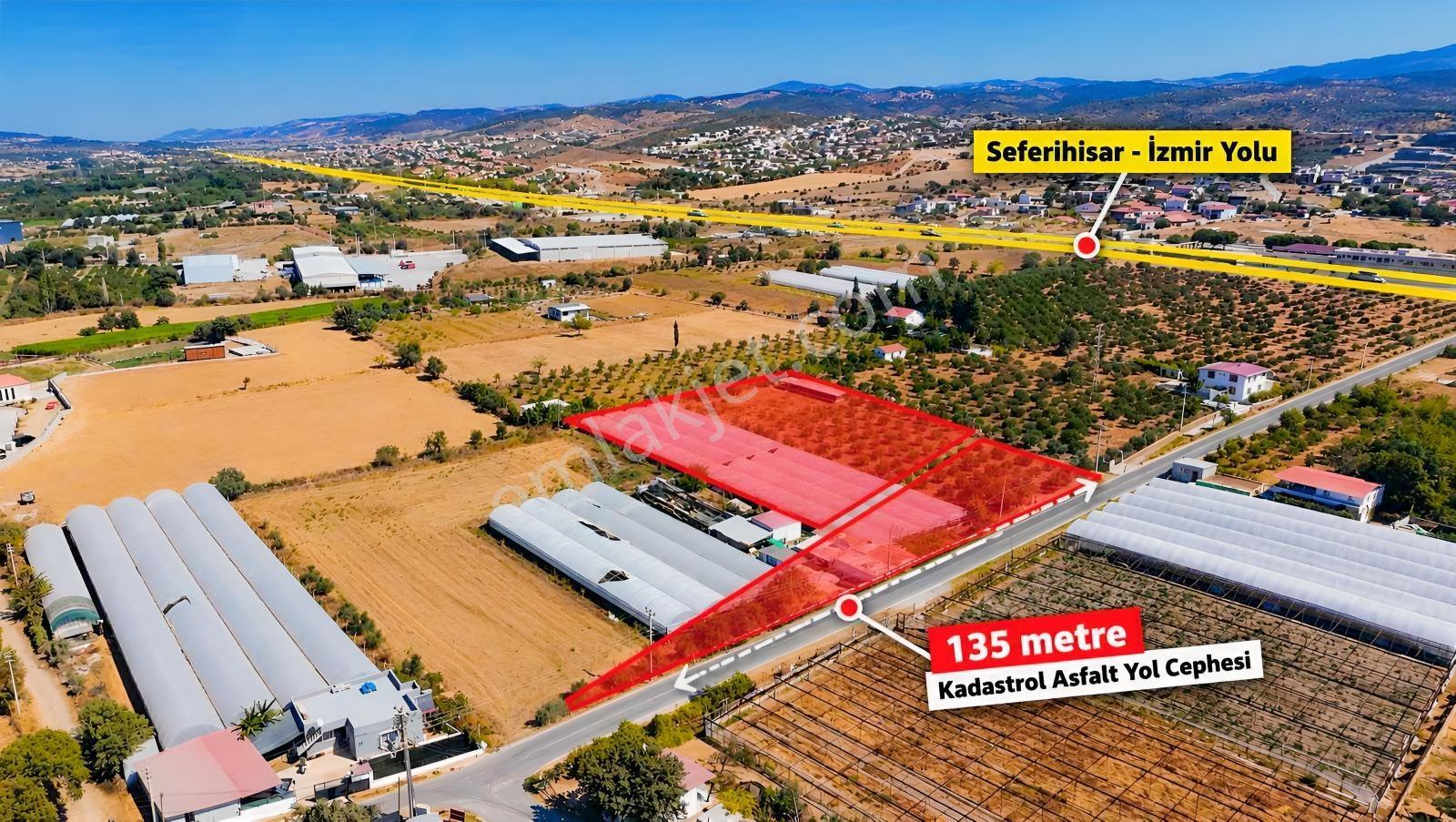Seferihisar Ulamışta Ana Yola Yakın 5.705 M² Yatırımlık Arazi