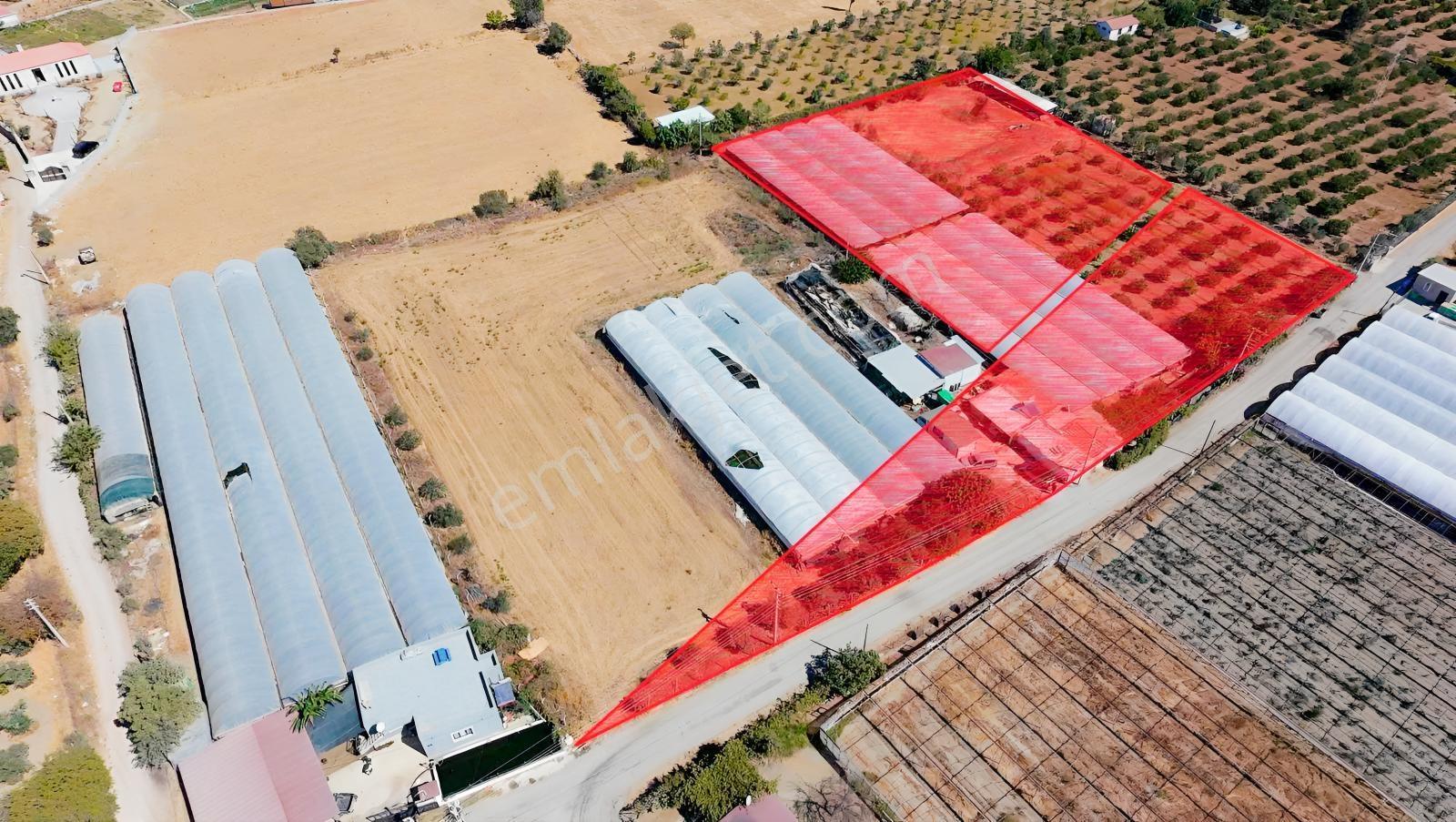 Seferihisar Ulamışta Ana Yola Yakın 5.705 M² Yatırımlık Arazi — fotoğraf 2