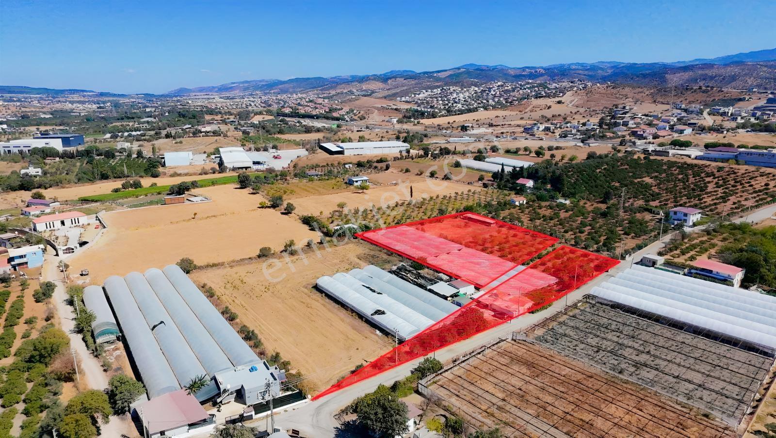 Seferihisar Ulamışta Ana Yola Yakın 5.705 M² Yatırımlık Arazi — fotoğraf 3