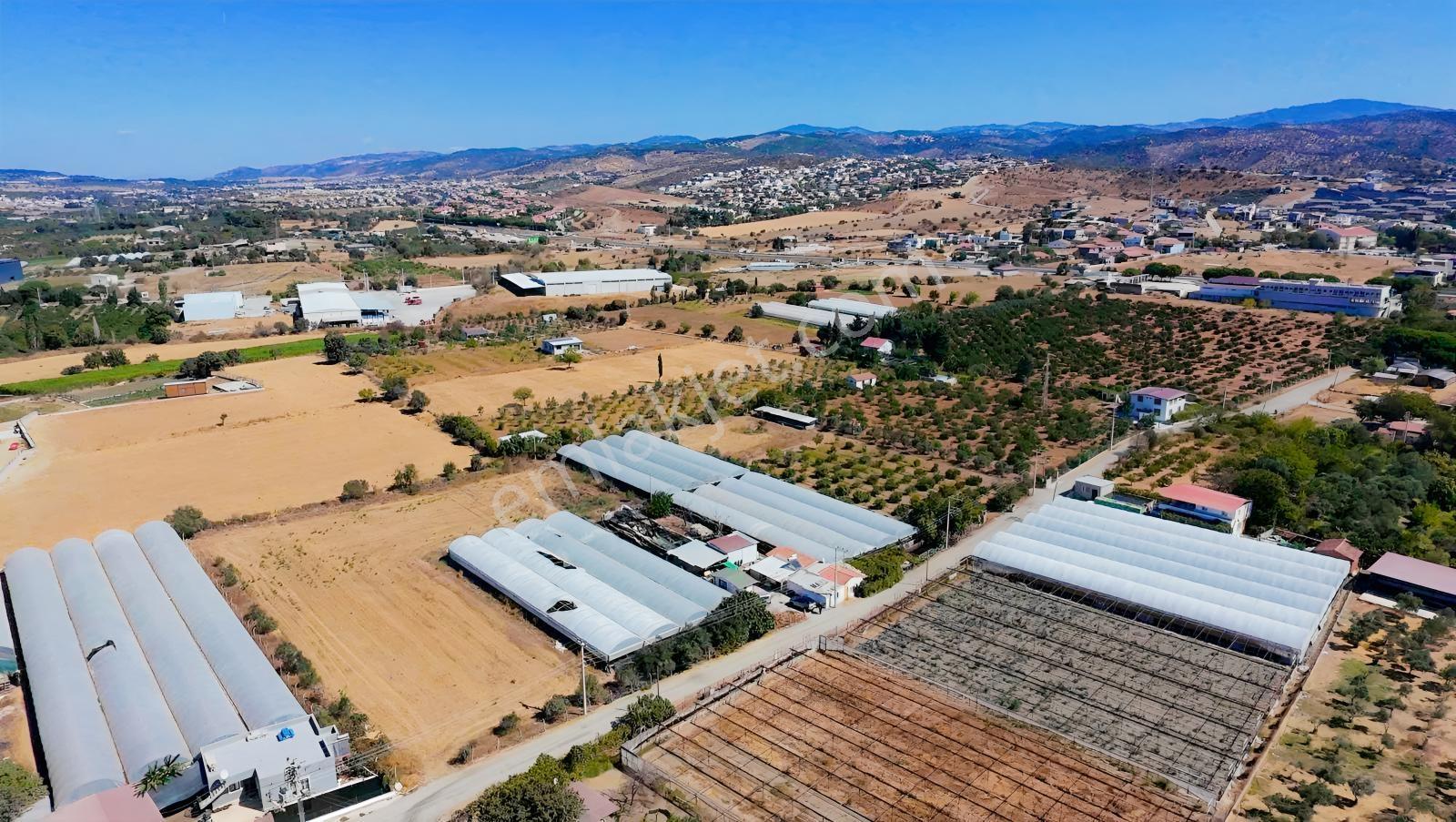 Seferihisar Ulamışta Ana Yola Yakın 5.705 M² Yatırımlık Arazi — fotoğraf 4