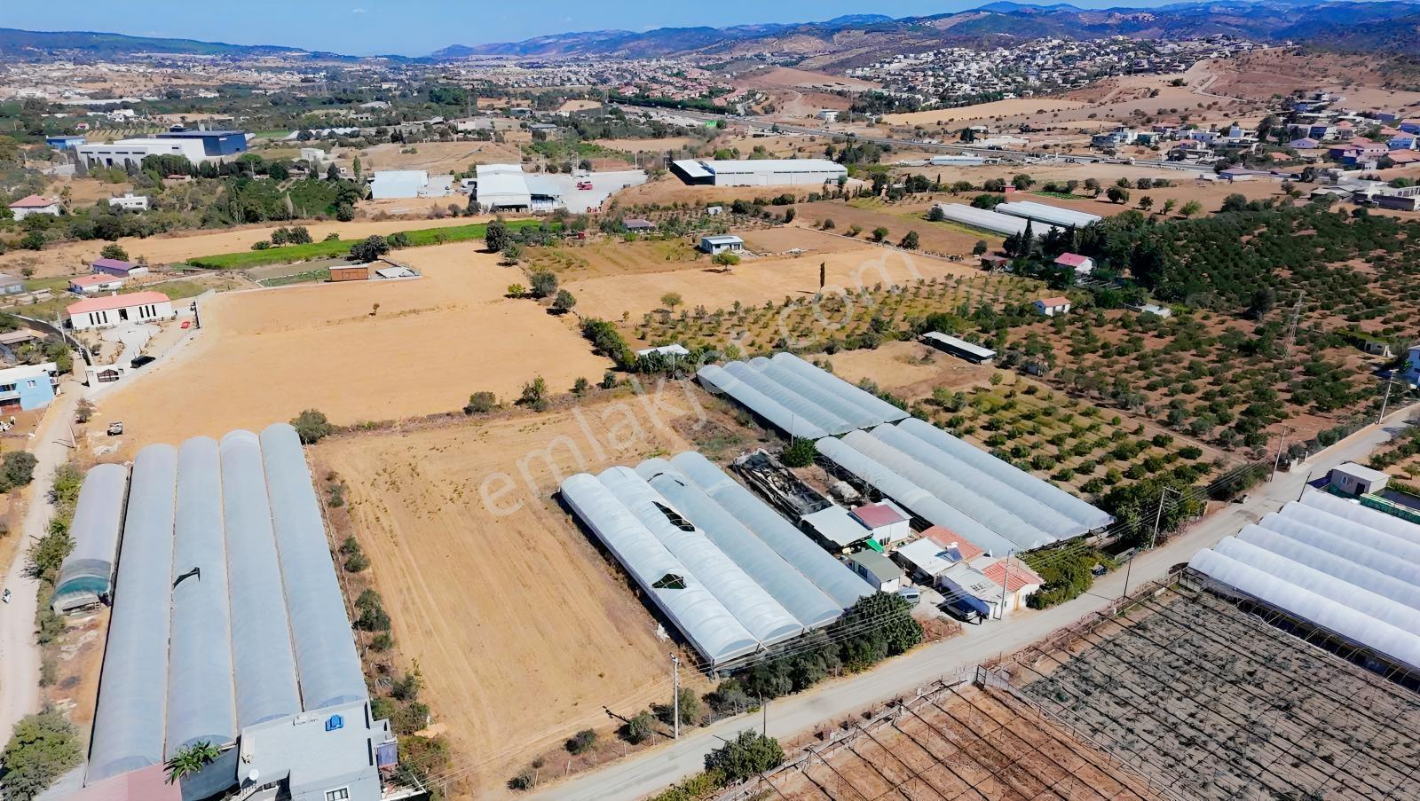 Seferihisar Ulamışta Ana Yola Yakın 5.705 M² Yatırımlık Arazi — fotoğraf 6