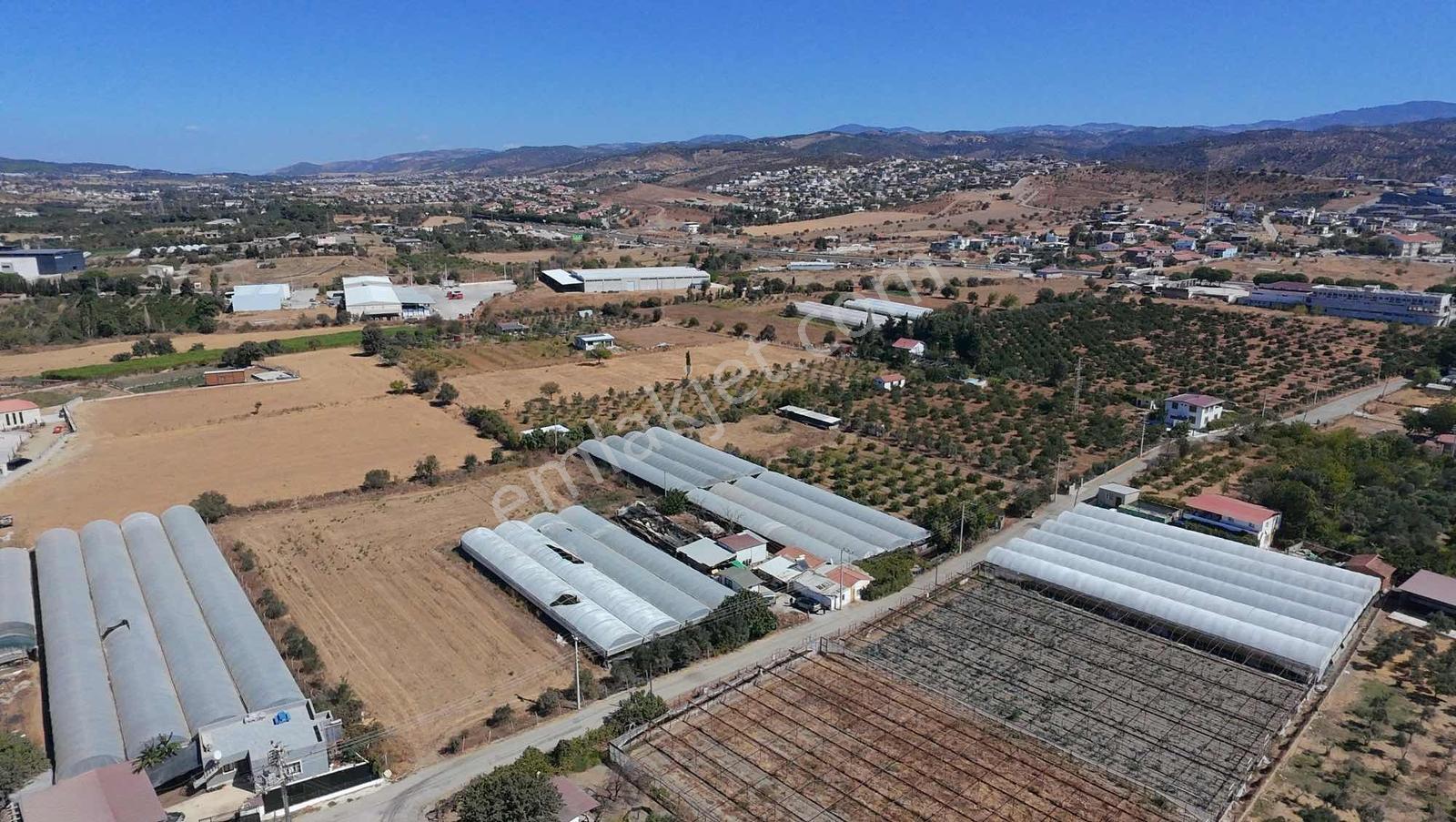 Seferihisar Ulamışta Ana Yola Yakın 5.705 M² Yatırımlık Arazi — fotoğraf 8