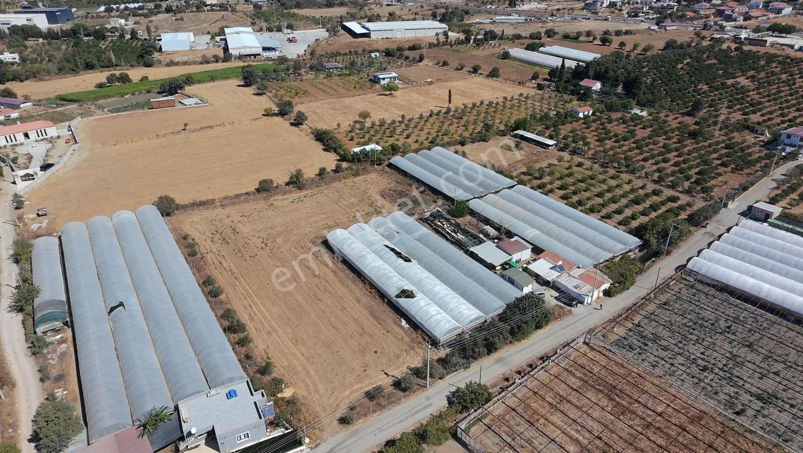 Seferihisar Ulamışta Ana Yola Yakın 5.705 M² Yatırımlık Arazi — fotoğraf 9