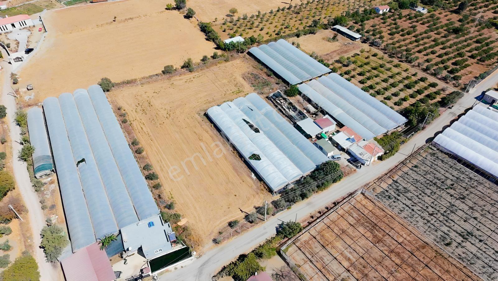 Seferihisar Ulamışta Ana Yola Yakın 5.705 M² Yatırımlık Arazi — fotoğraf 10