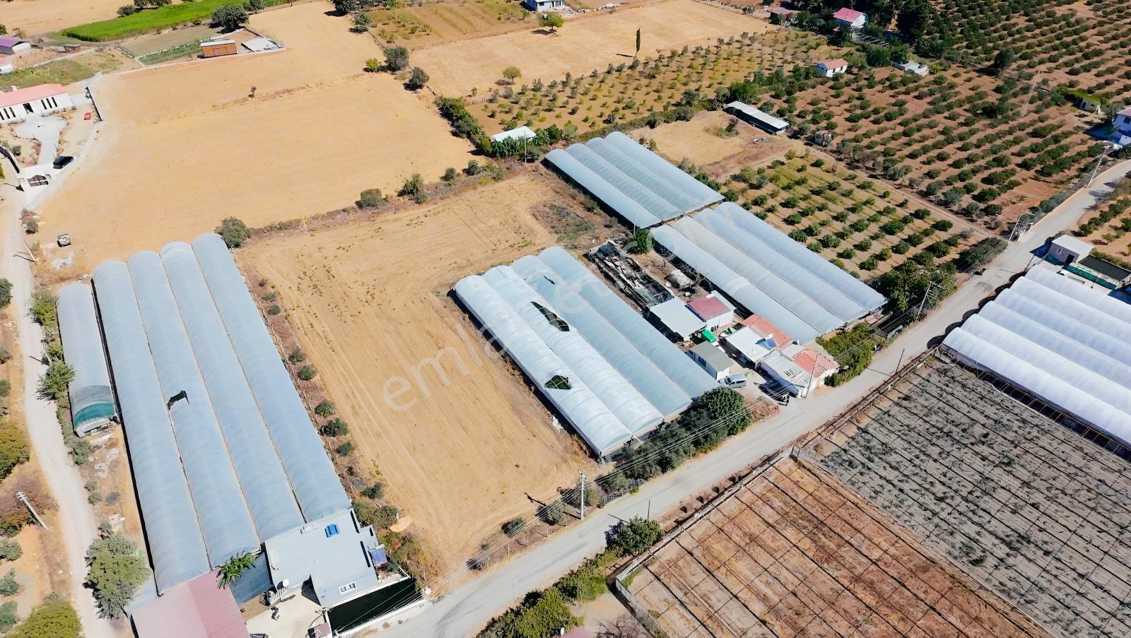 Seferihisar Ulamışta Ana Yola Yakın 5.705 M² Yatırımlık Arazi — fotoğraf 11