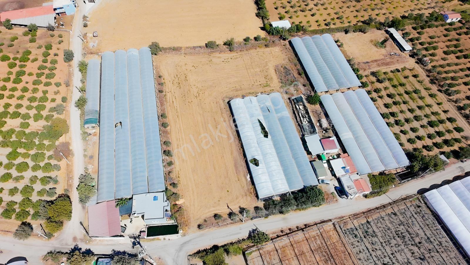 Seferihisar Ulamışta Ana Yola Yakın 5.705 M² Yatırımlık Arazi — fotoğraf 12