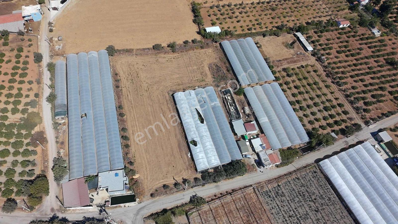 Seferihisar Ulamışta Ana Yola Yakın 5.705 M² Yatırımlık Arazi — fotoğraf 13