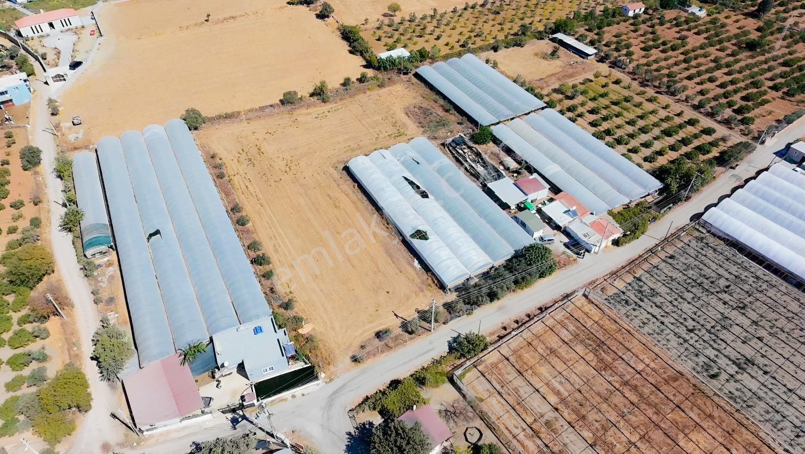 Seferihisar Ulamışta Ana Yola Yakın 5.705 M² Yatırımlık Arazi — fotoğraf 14