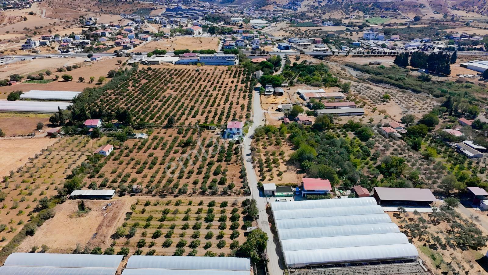 Seferihisar Ulamışta Ana Yola Yakın 5.705 M² Yatırımlık Arazi — fotoğraf 15