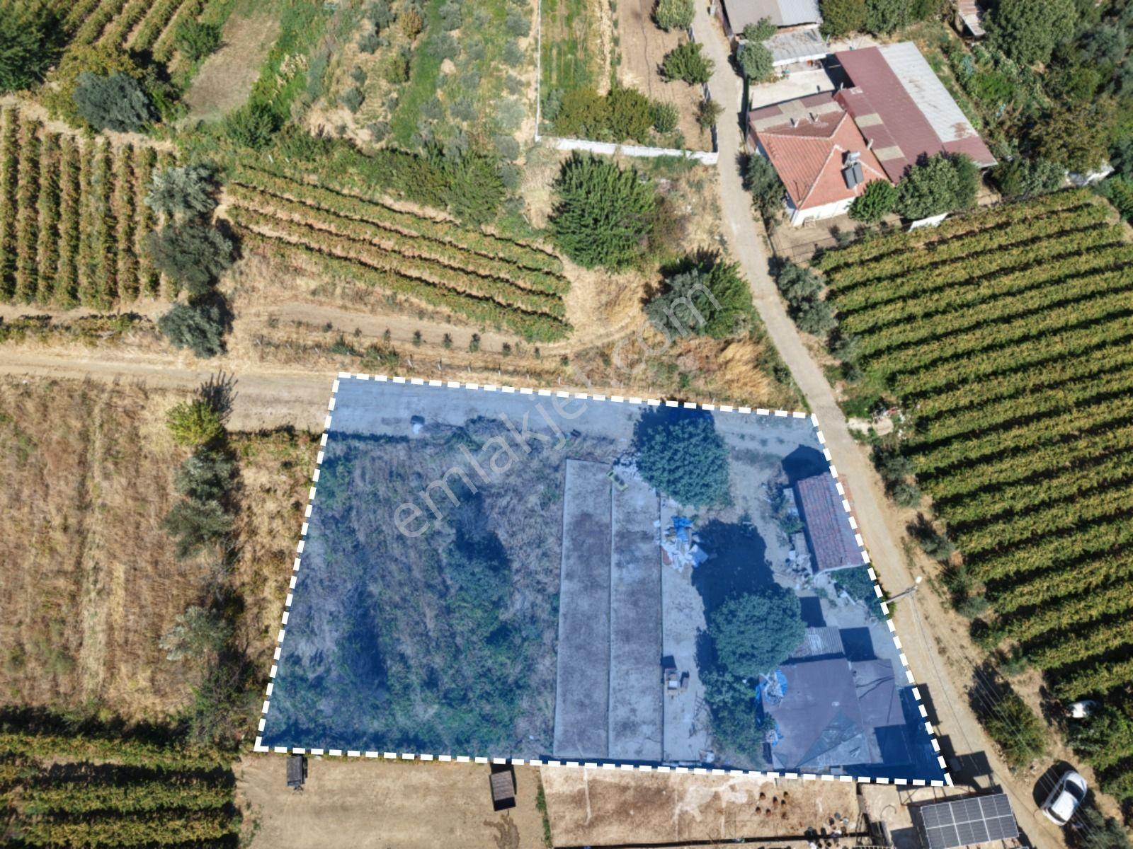 Manisa Salihli Yenipazar Da 1601 M Satilik Arsa — fotoğraf 3