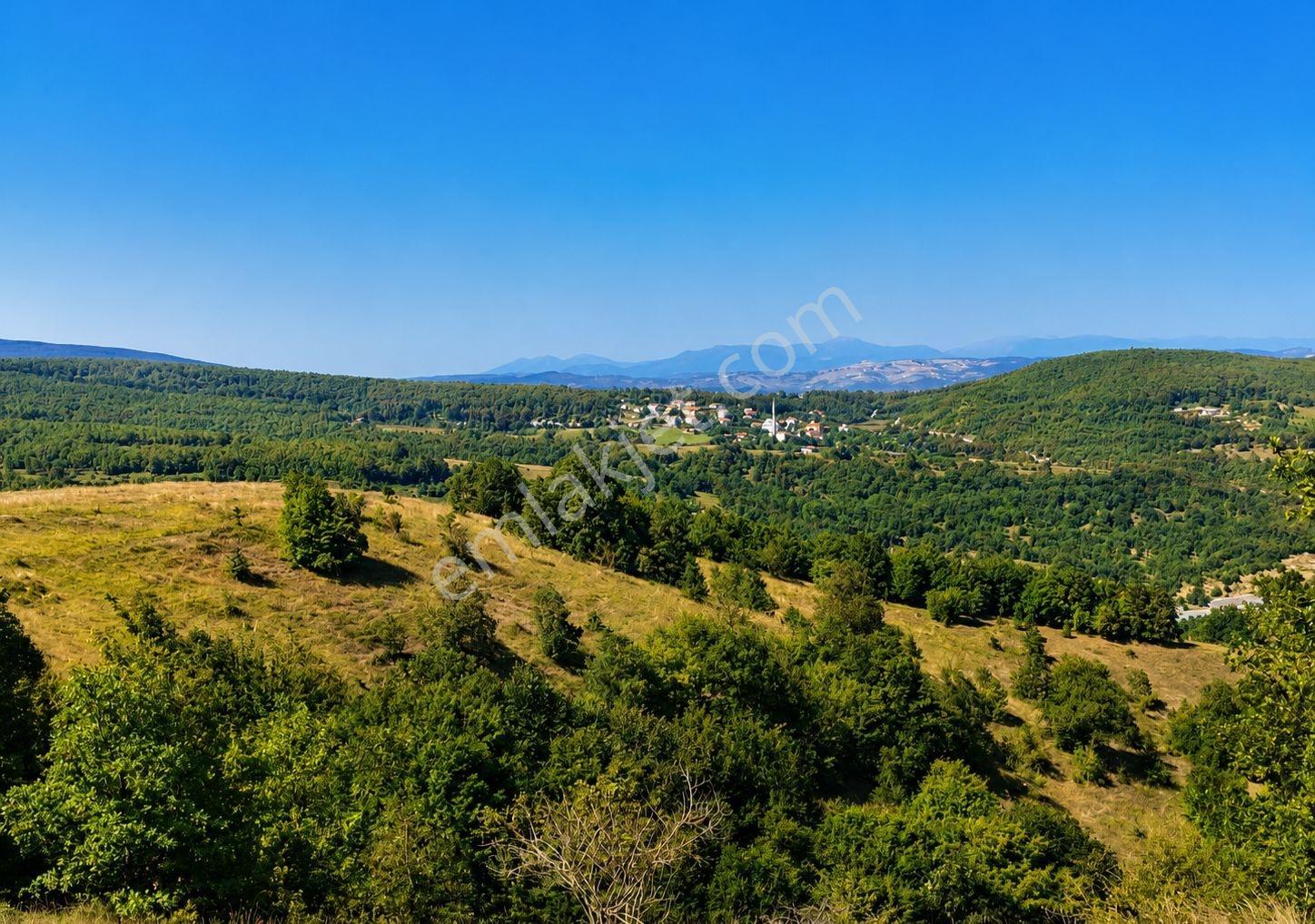 13431 M2/tek Tapu/samsun Kavak/orman Manzaralı/satılık Tarla — fotoğraf 8