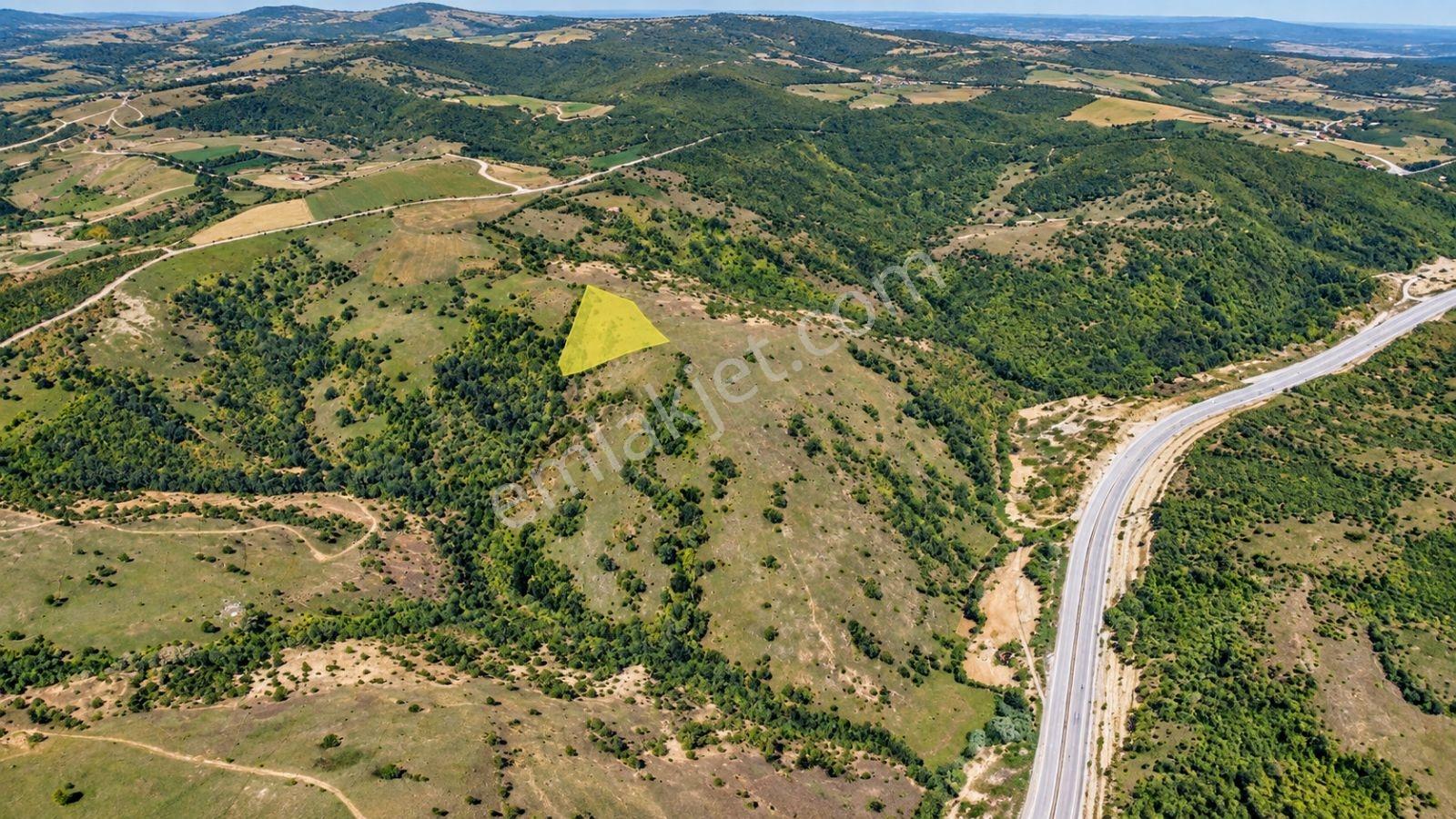 13431 M2/tek Tapu/samsun Kavak/orman Manzaralı/satılık Tarla — fotoğraf 11