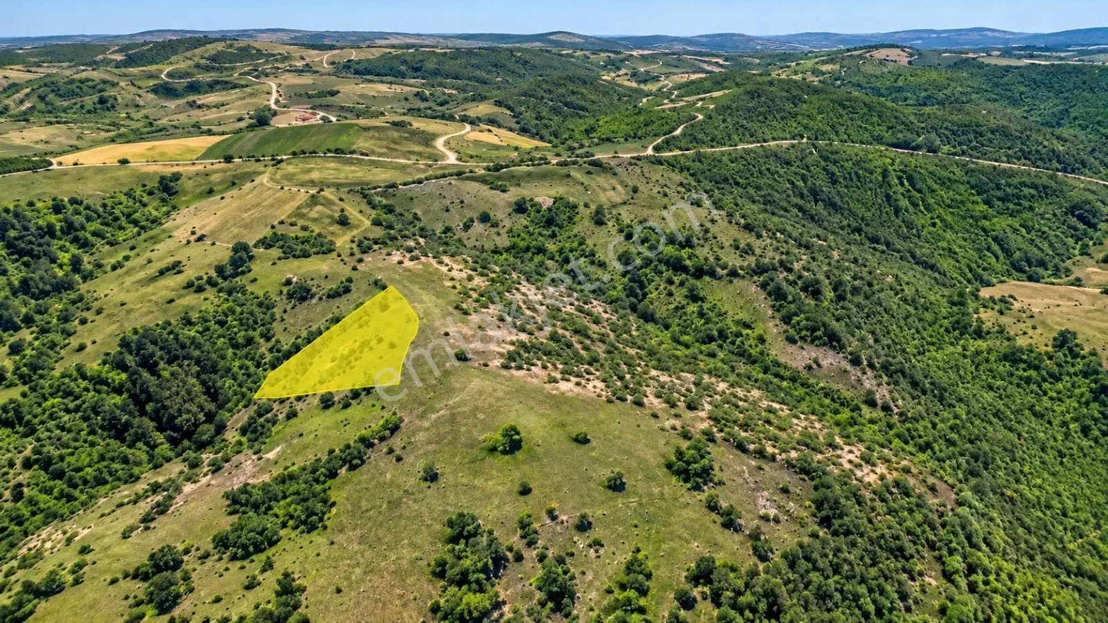 13431 M2/tek Tapu/samsun Kavak/orman Manzaralı/satılık Tarla — fotoğraf 12