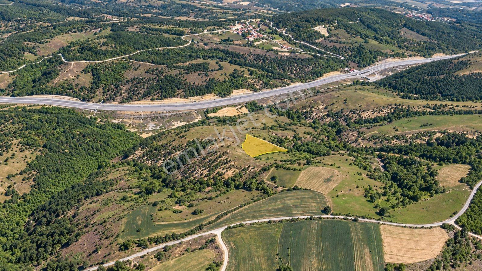 13431 M2/tek Tapu/samsun Kavak/orman Manzaralı/satılık Tarla — fotoğraf 13