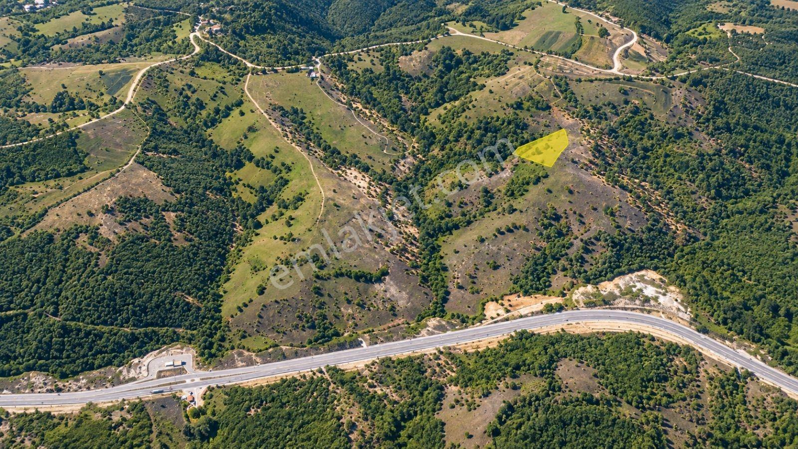 13431 M2/tek Tapu/samsun Kavak/orman Manzaralı/satılık Tarla — fotoğraf 14