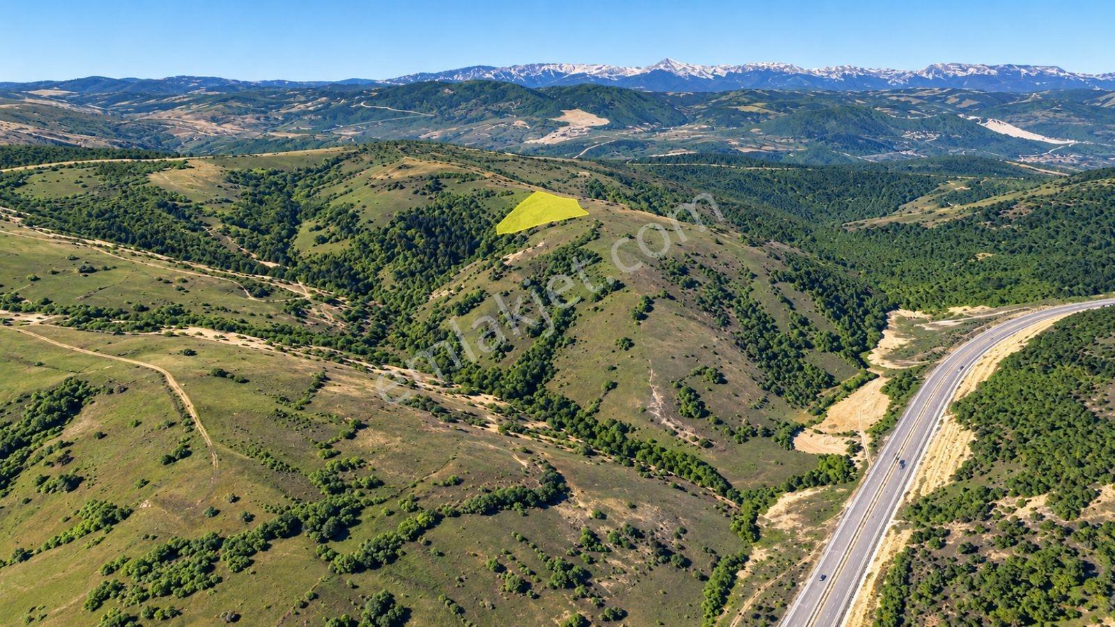 13431 M2/tek Tapu/samsun Kavak/orman Manzaralı/satılık Tarla — fotoğraf 17