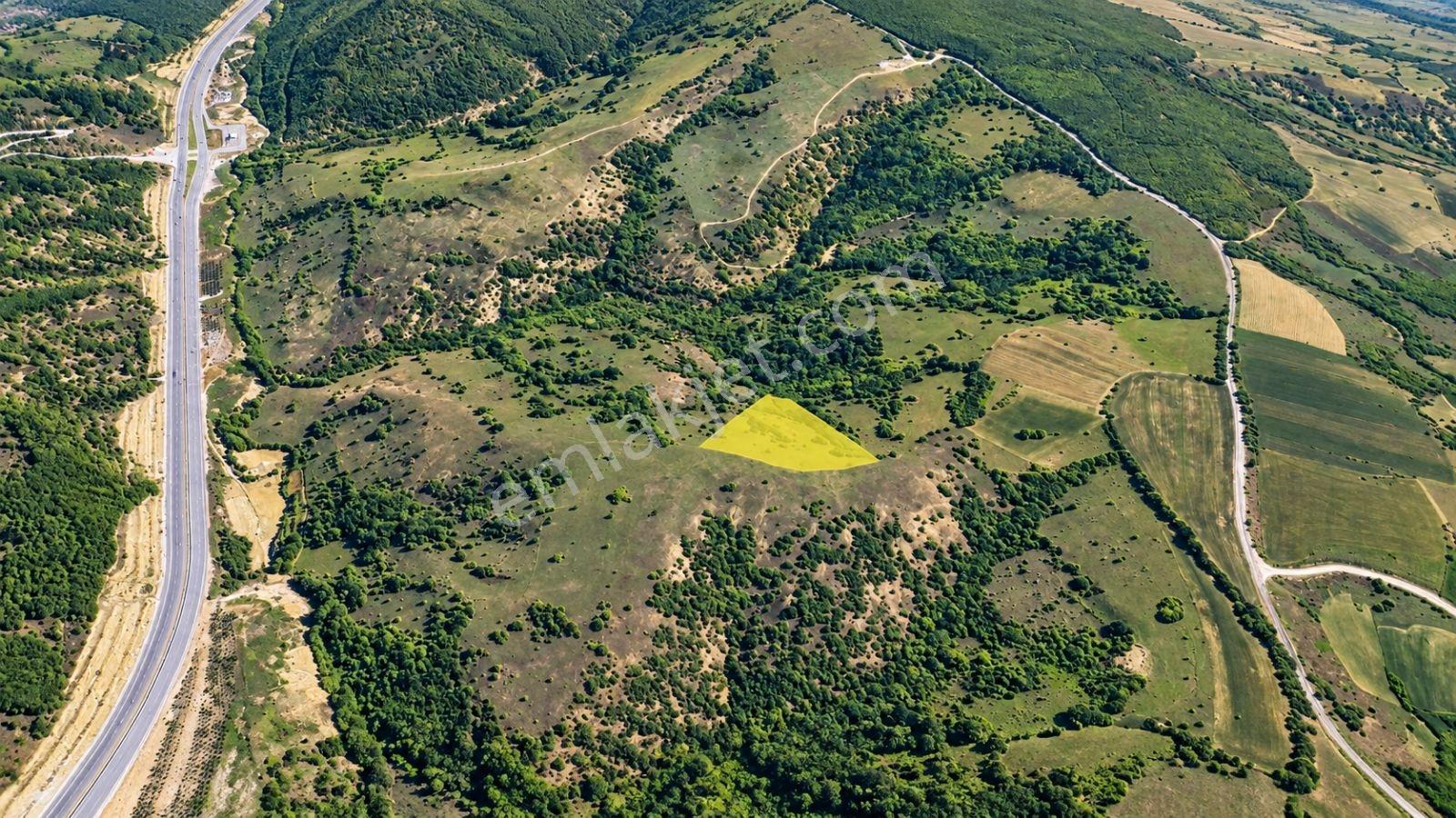 13431 M2/tek Tapu/samsun Kavak/orman Manzaralı/satılık Tarla — fotoğraf 19