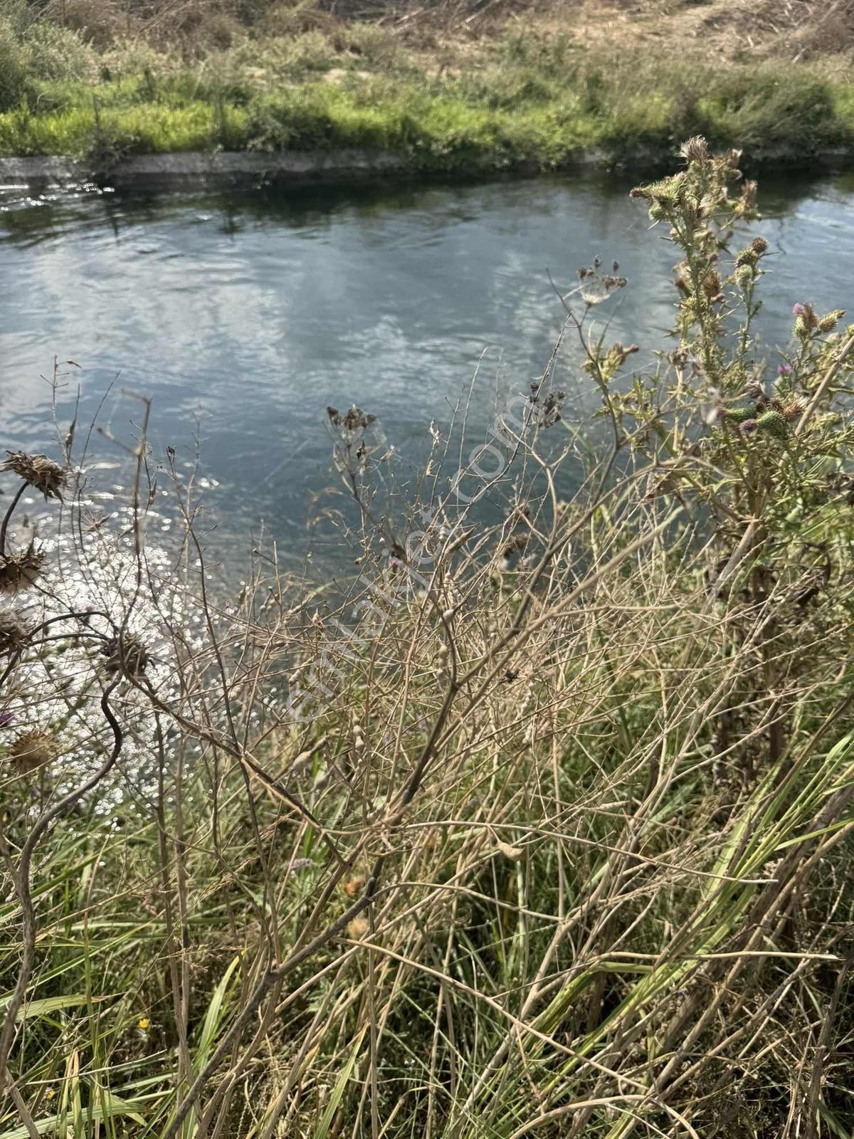 Yetiş'ten İlçeye Çok Yakın Kanal Ve Ana Yola Cepheli,tarım Arazi — fotoğraf 2