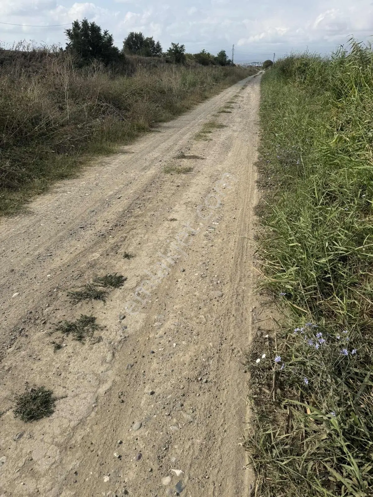 Yetiş'ten İlçeye Çok Yakın Kanal Ve Ana Yola Cepheli,tarım Arazi — fotoğraf 7
