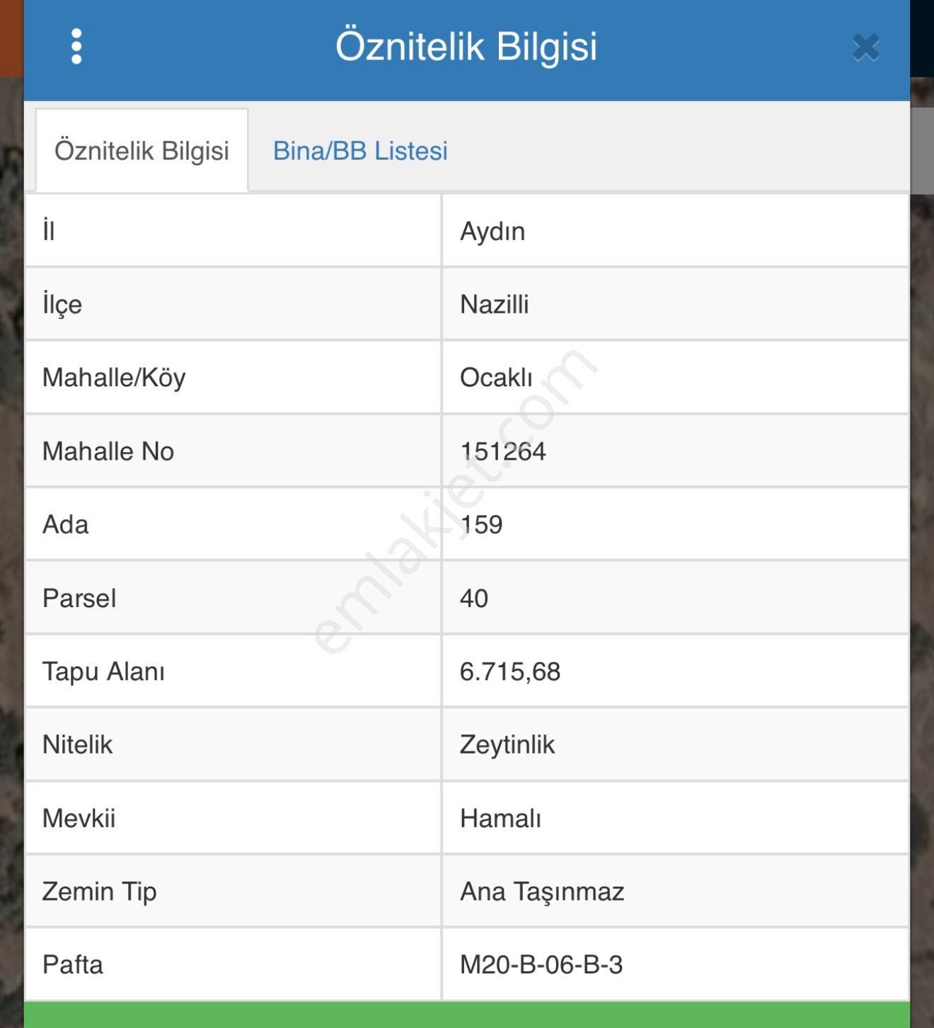 Acil Satılık Zeytinlik – Kaçmaz Fırsat!
