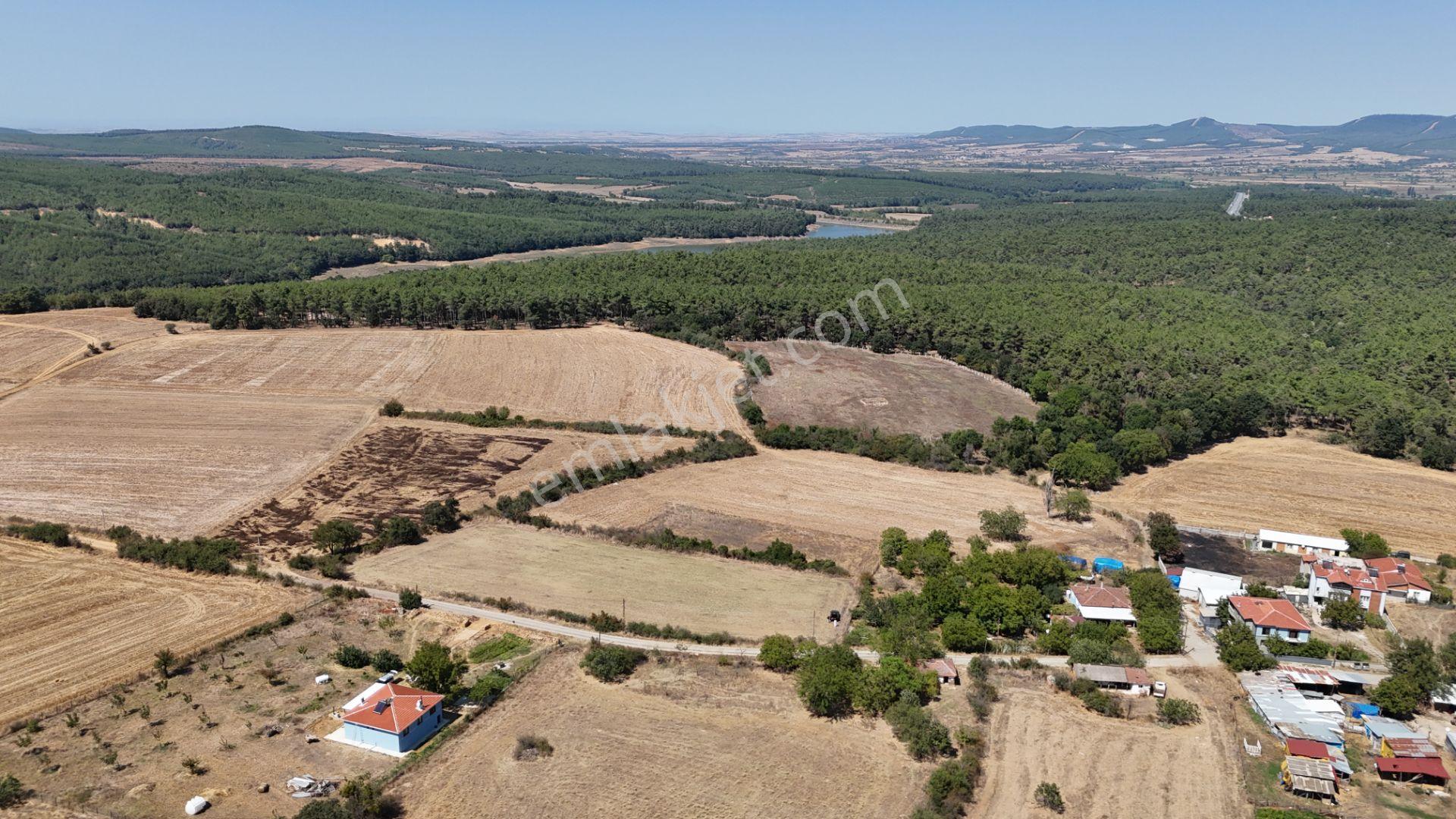 Alfa İnvest'de İmar Sınırında Satılık Tarla — fotoğraf 8