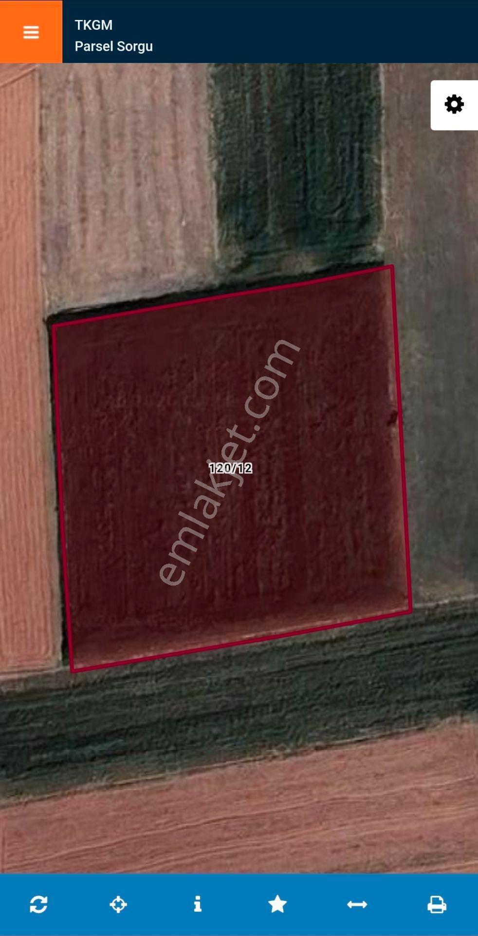 Doğukan Real Estate | Elazığ Pelte Köyü 4121 M² Satılık Sulu Tarla — fotoğraf 3