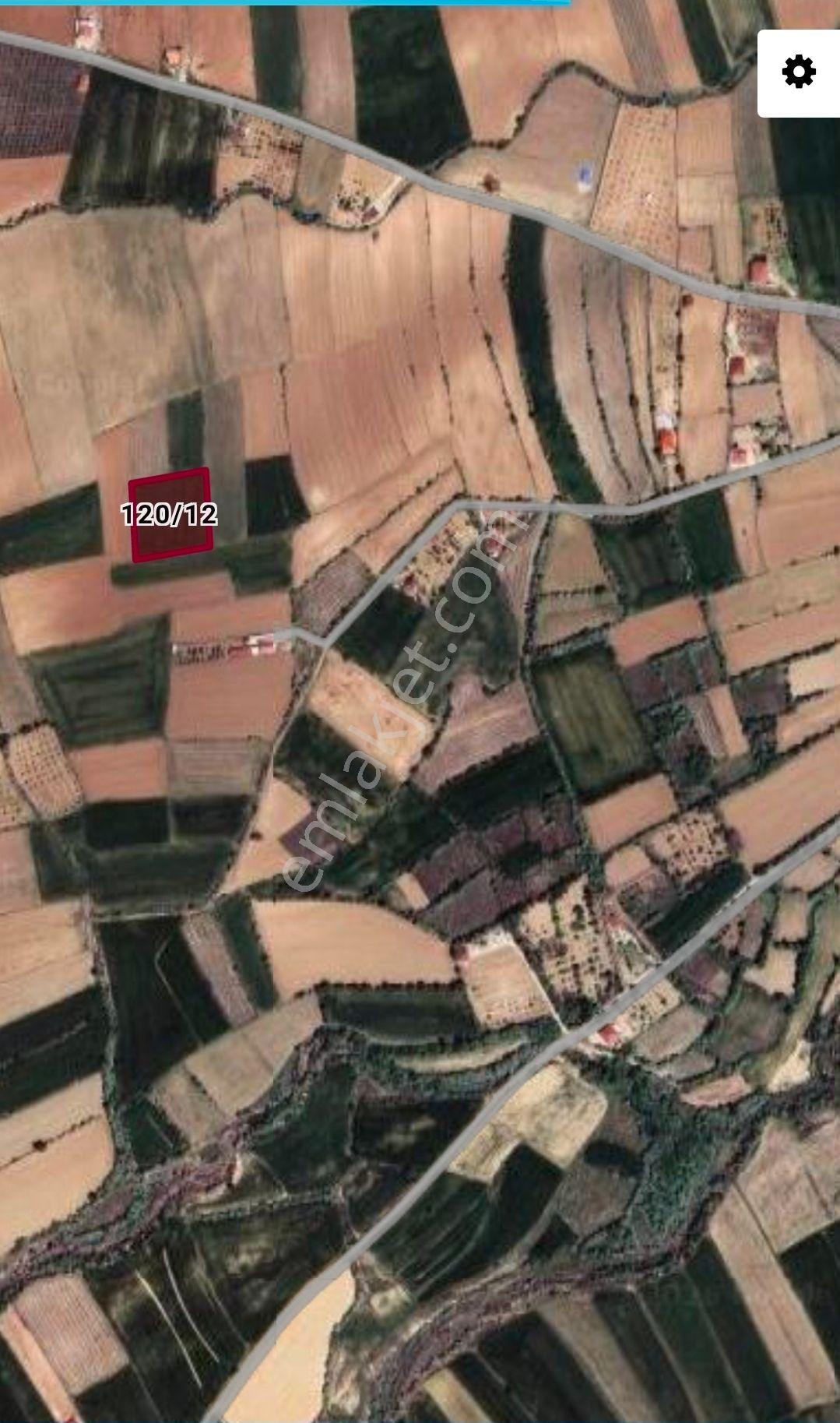 Doğukan Real Estate | Elazığ Pelte Köyü 4121 M² Satılık Sulu Tarla — fotoğraf 5