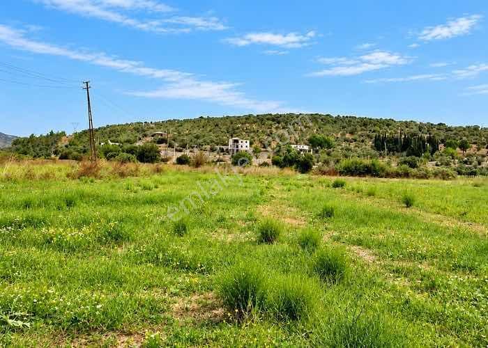 Bodrumda Satılık Tarla Düz Taban Arazii Yatırım Fırsatı