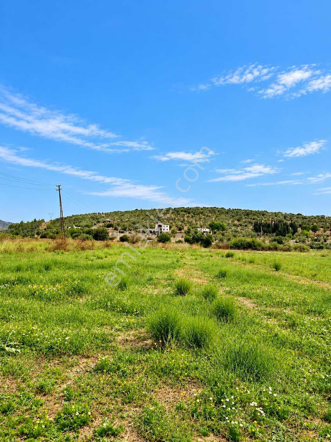 Bodrumda Satılık Tarla Düz Taban Arazii Yatırım Fırsatı — fotoğraf 2