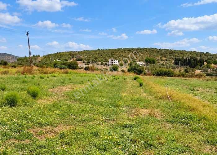Bodrumda Satılık Tarla Düz Taban Arazii Yatırım Fırsatı — fotoğraf 3