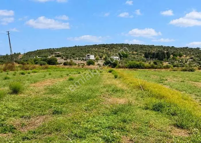Bodrumda Satılık Tarla Düz Taban Arazii Yatırım Fırsatı — fotoğraf 4