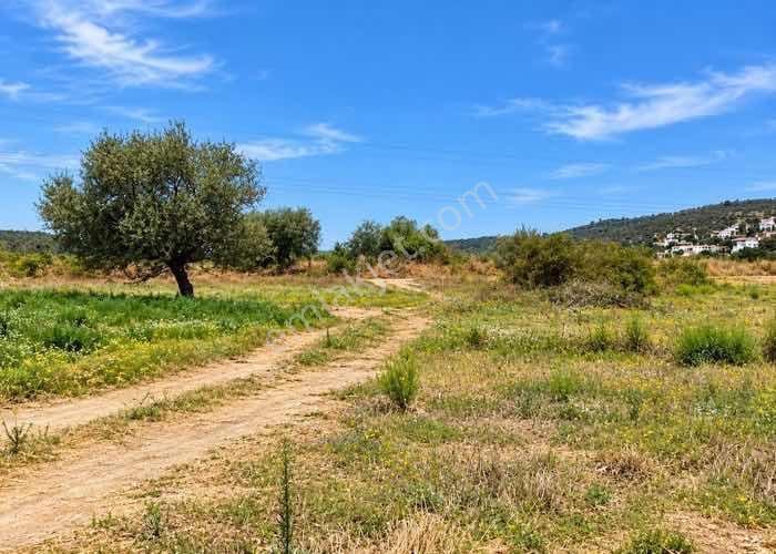 Bodrumda Satılık Tarla Düz Taban Arazii Yatırım Fırsatı — fotoğraf 9