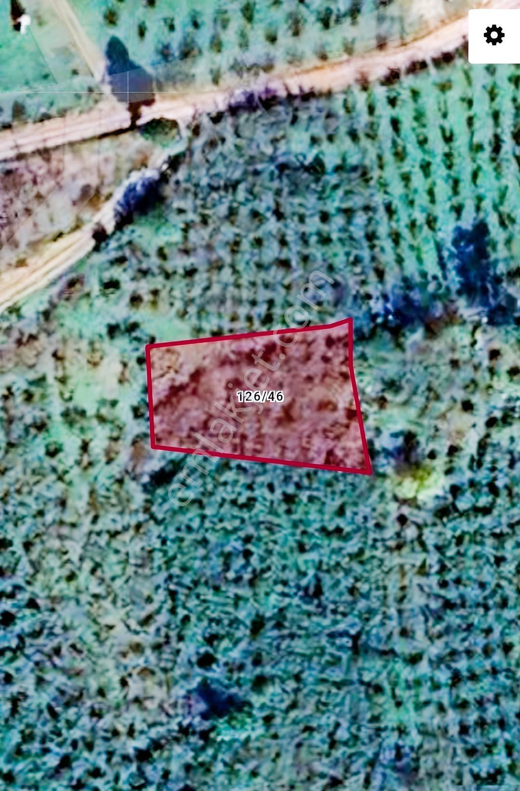 Kocaeli Kandıra Yağcılar Bölgesinde Satılık Fındık Tarlası