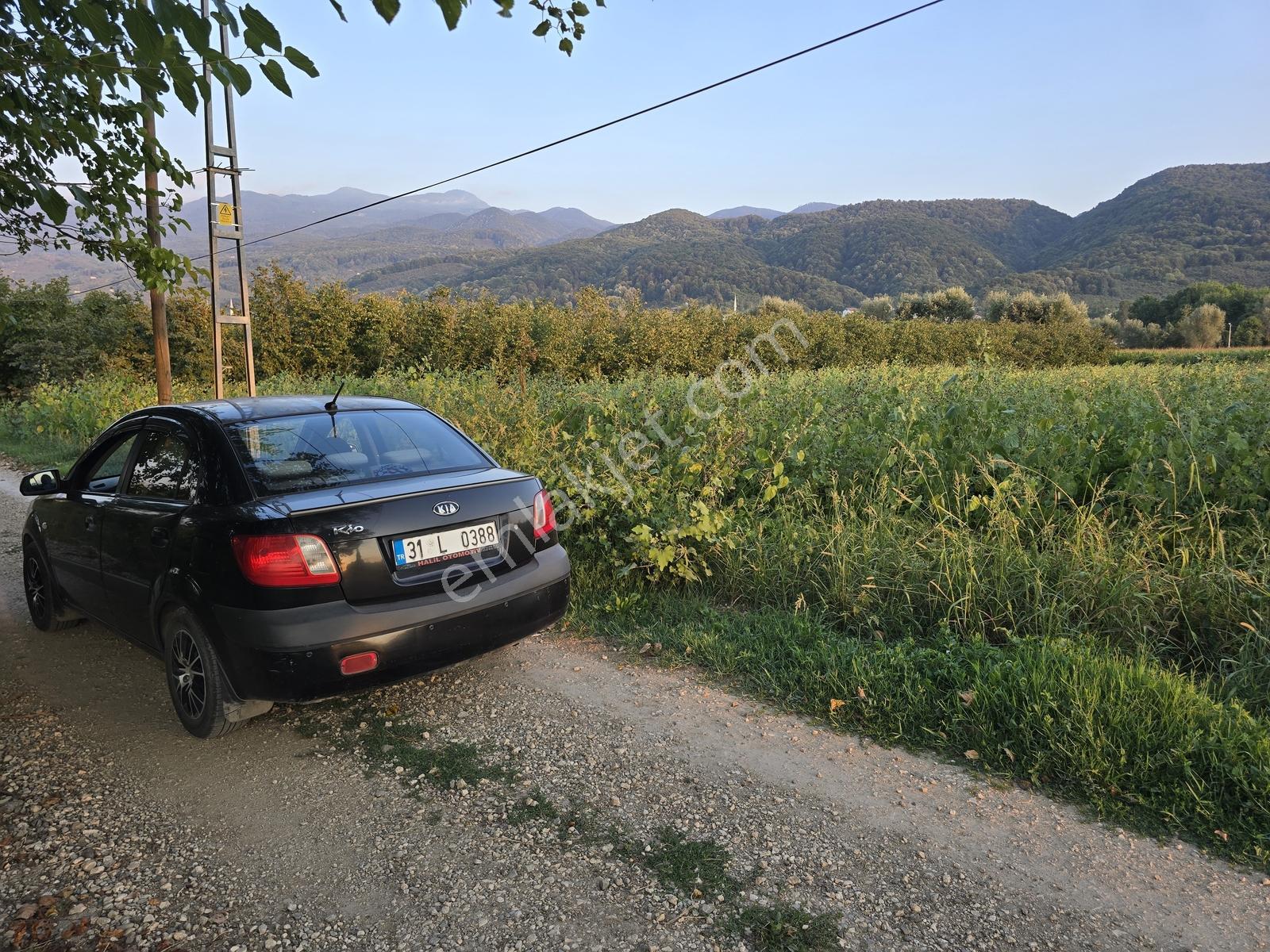Sakarya Akyazı Harun Usta Mahallesi Satılık Yatırım Fırsatı