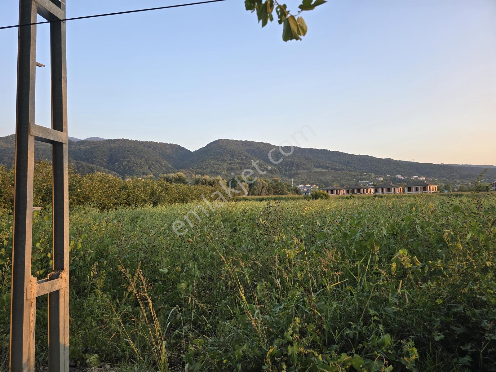 Sakarya Akyazı Harun Usta Mahallesi Satılık Yatırım Fırsatı — fotoğraf 2