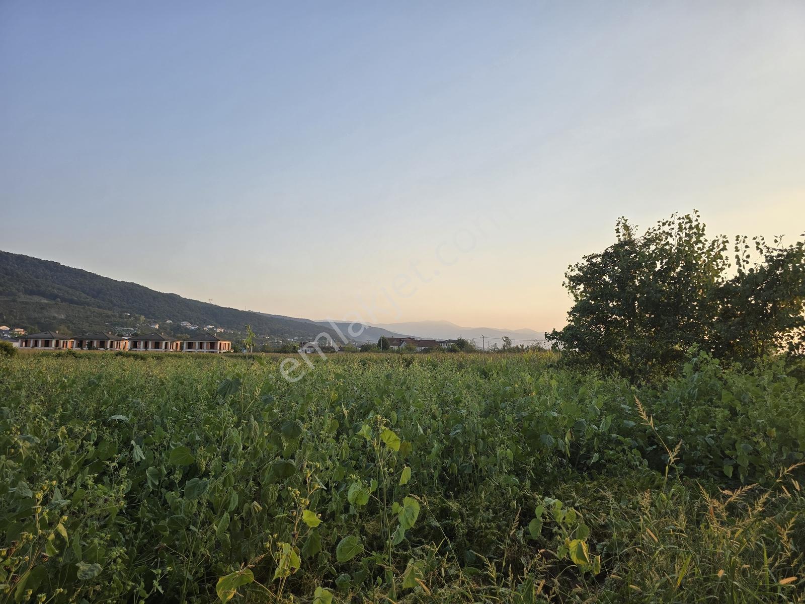 Sakarya Akyazı Harun Usta Mahallesi Satılık Yatırım Fırsatı — fotoğraf 4