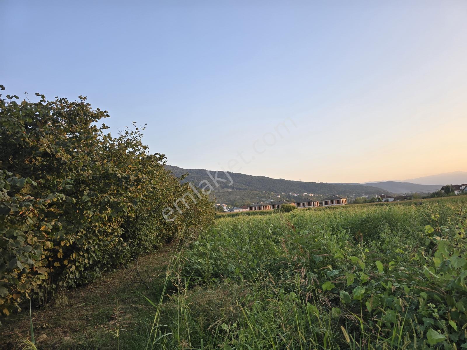 Sakarya Akyazı Harun Usta Mahallesi Satılık Yatırım Fırsatı — fotoğraf 8