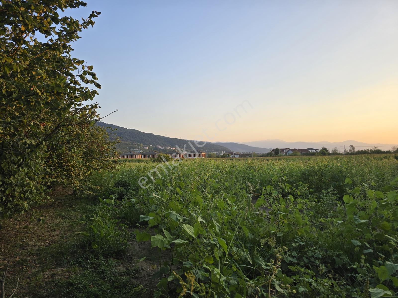 Sakarya Akyazı Harun Usta Mahallesi Satılık Yatırım Fırsatı — fotoğraf 9