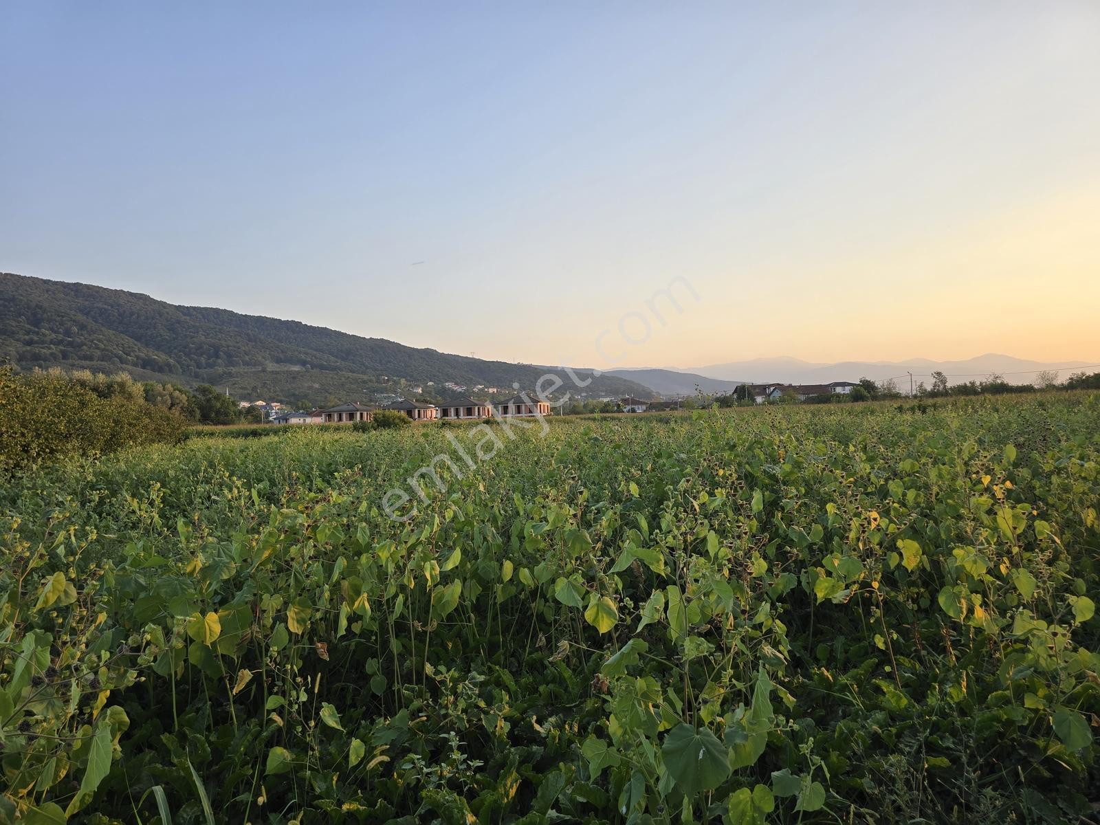Sakarya Akyazı Harun Usta Mahallesi Satılık Yatırım Fırsatı — fotoğraf 15