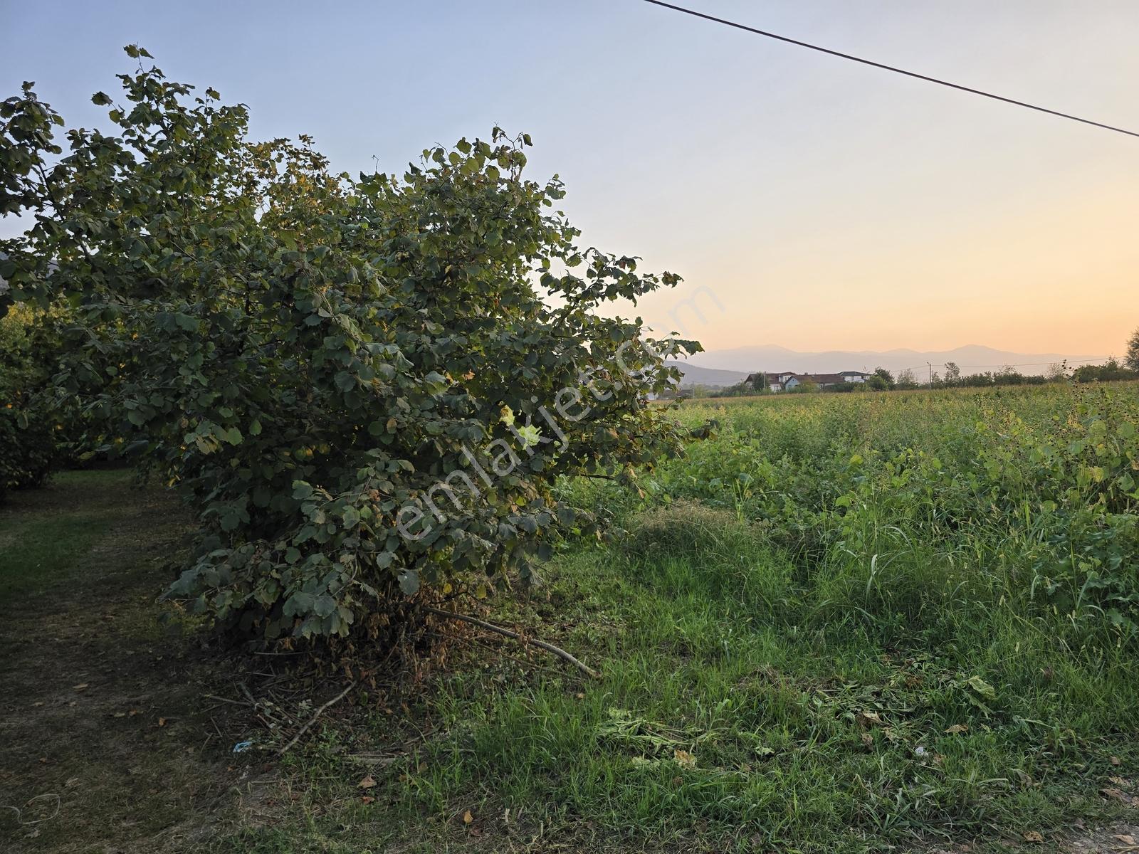 Sakarya Akyazı Harun Usta Mahallesi Satılık Yatırım Fırsatı — fotoğraf 28
