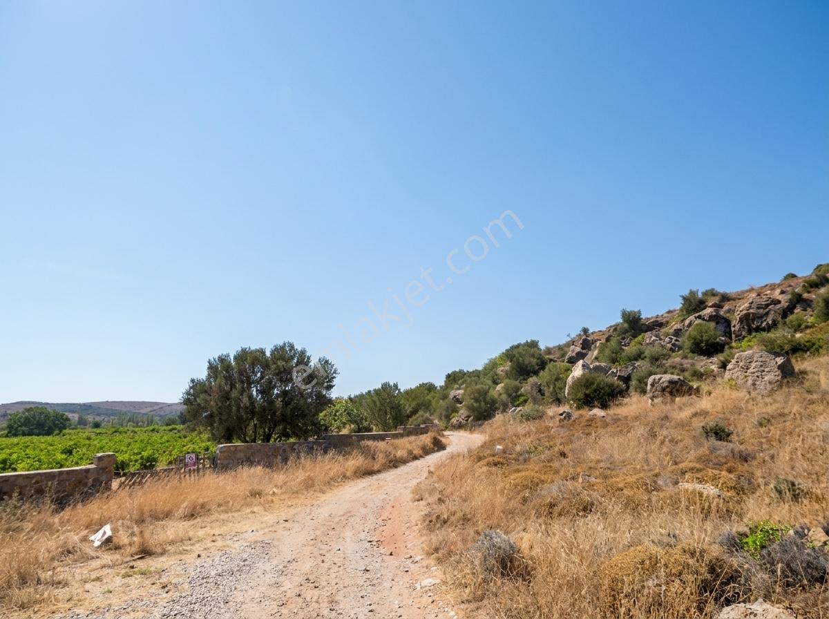 Remax Area'dan Bozcaada'da Denize Sıfır Satılık Arsa — fotoğraf 13