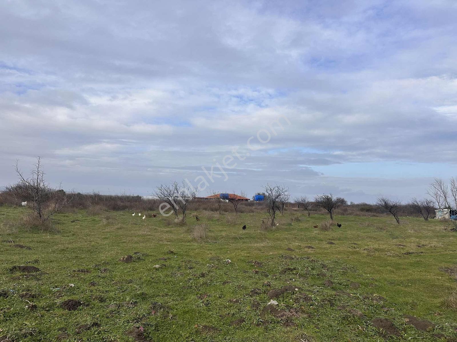 Lapseki Çardakta Denize 100 Metre Güney Batı Cepheli Köşe Parsel — fotoğraf 7