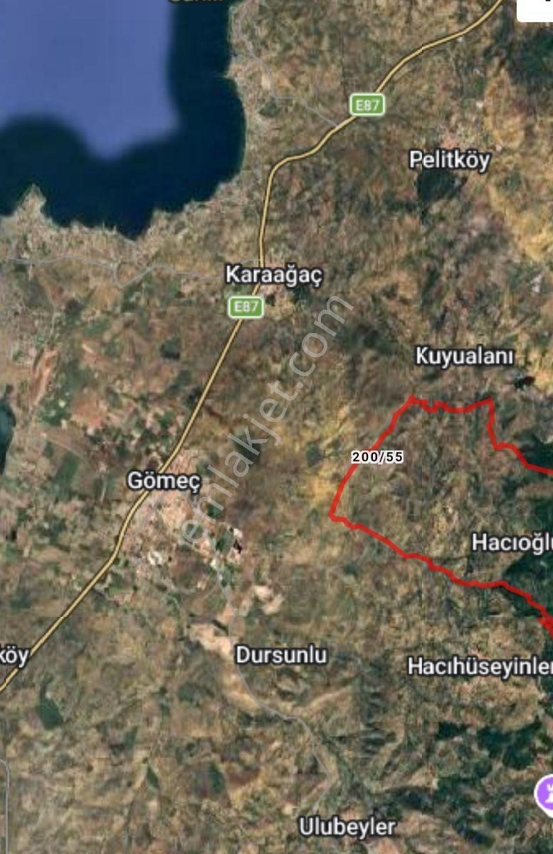 Gömeç'te 5205 M2 Zeytinlik